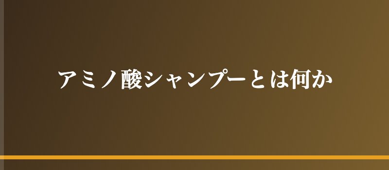 アミノ酸シャンプーとは何か
