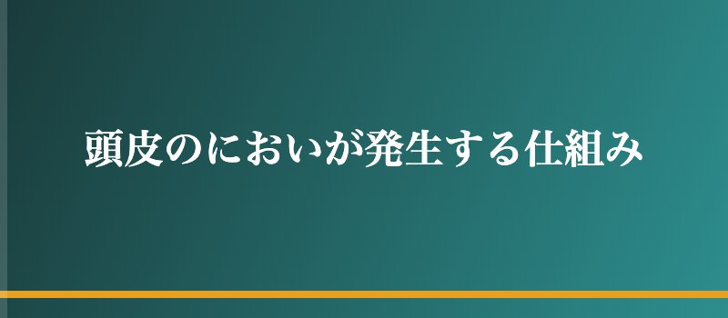 頭皮のにおいが発生する仕組み