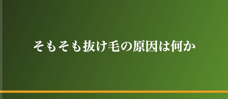そもそも抜け毛の原因は何か