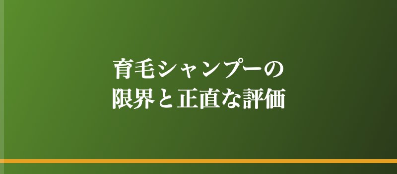 育毛シャンプーの限界と正直な評価